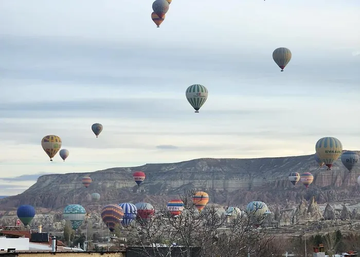 유서프 베이 하우스 호텔